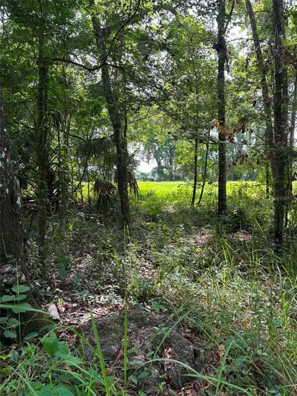 12168 Ponce De Leon Boulevard, BROOKSVILLE