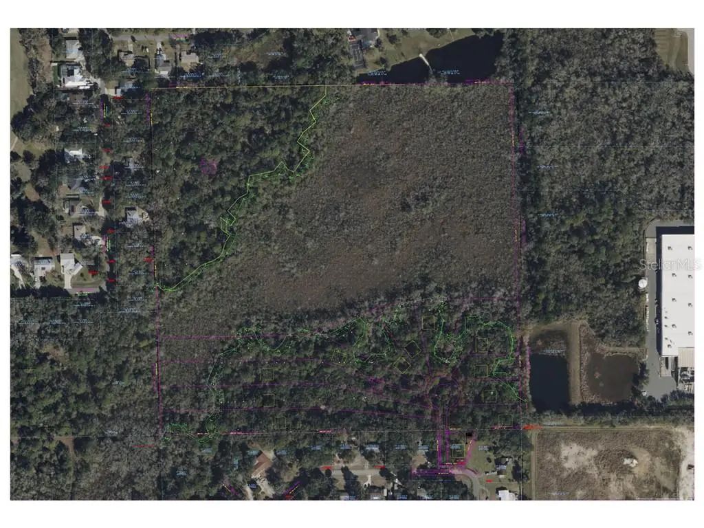 Camellia Avenue S, Crystal River