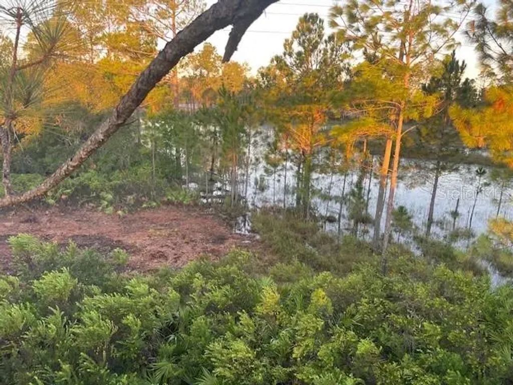 43820 Redlands Drive, DELAND