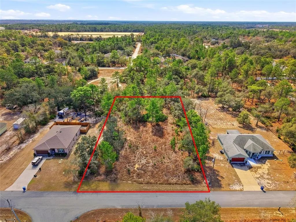 11263 Mexican Canary Avenue, WEEKI WACHEE