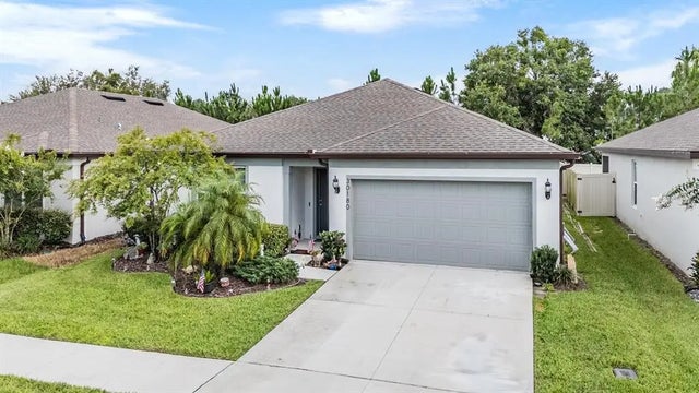 30180 Skylark Drive, WESLEY CHAPEL
