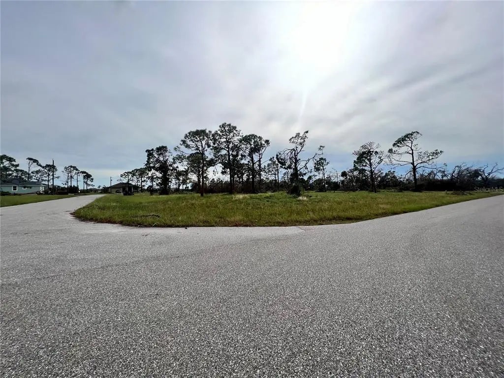 Photo of Listing #C7506817