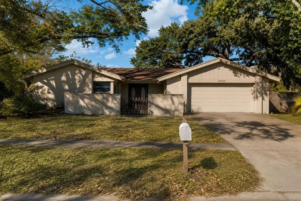 15648 Bear Creek Drive, TAMPA