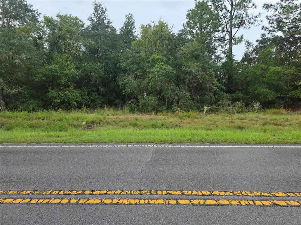 Lot 16 Sw Marine Boulevard, DUNNELLON
