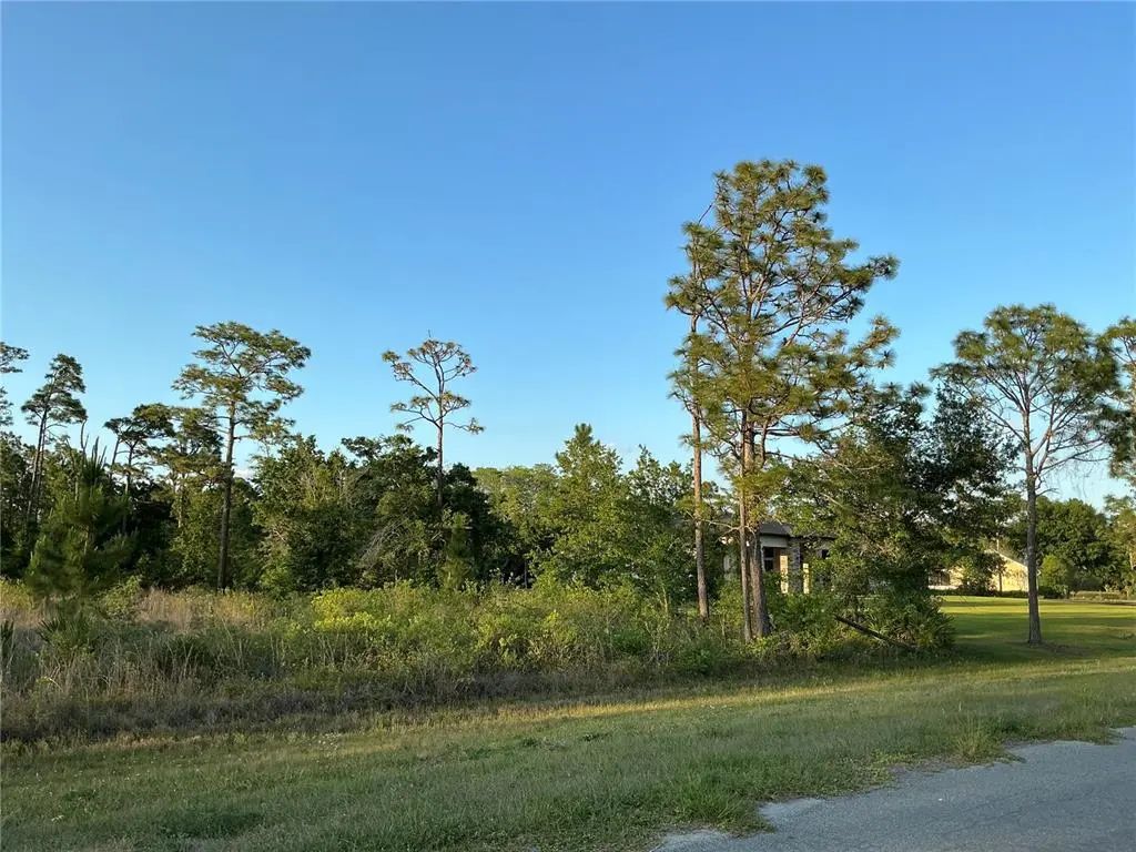 Reynolds Pkwy, ORLANDO