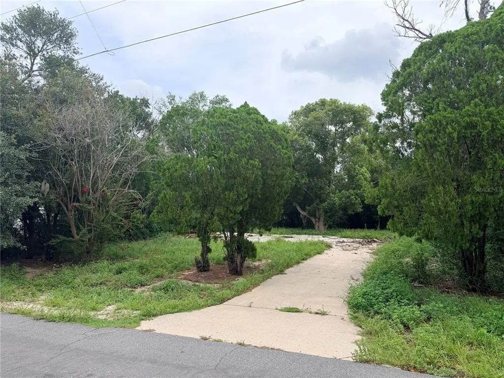 11411 Sagamore Street, SPRING HILL