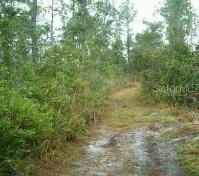 1890 Dill Rd, ORLANDO