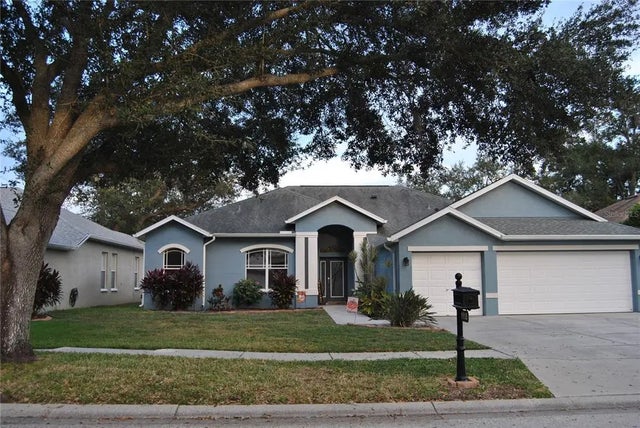 1115 Lumsden Trace Circle, VALRICO