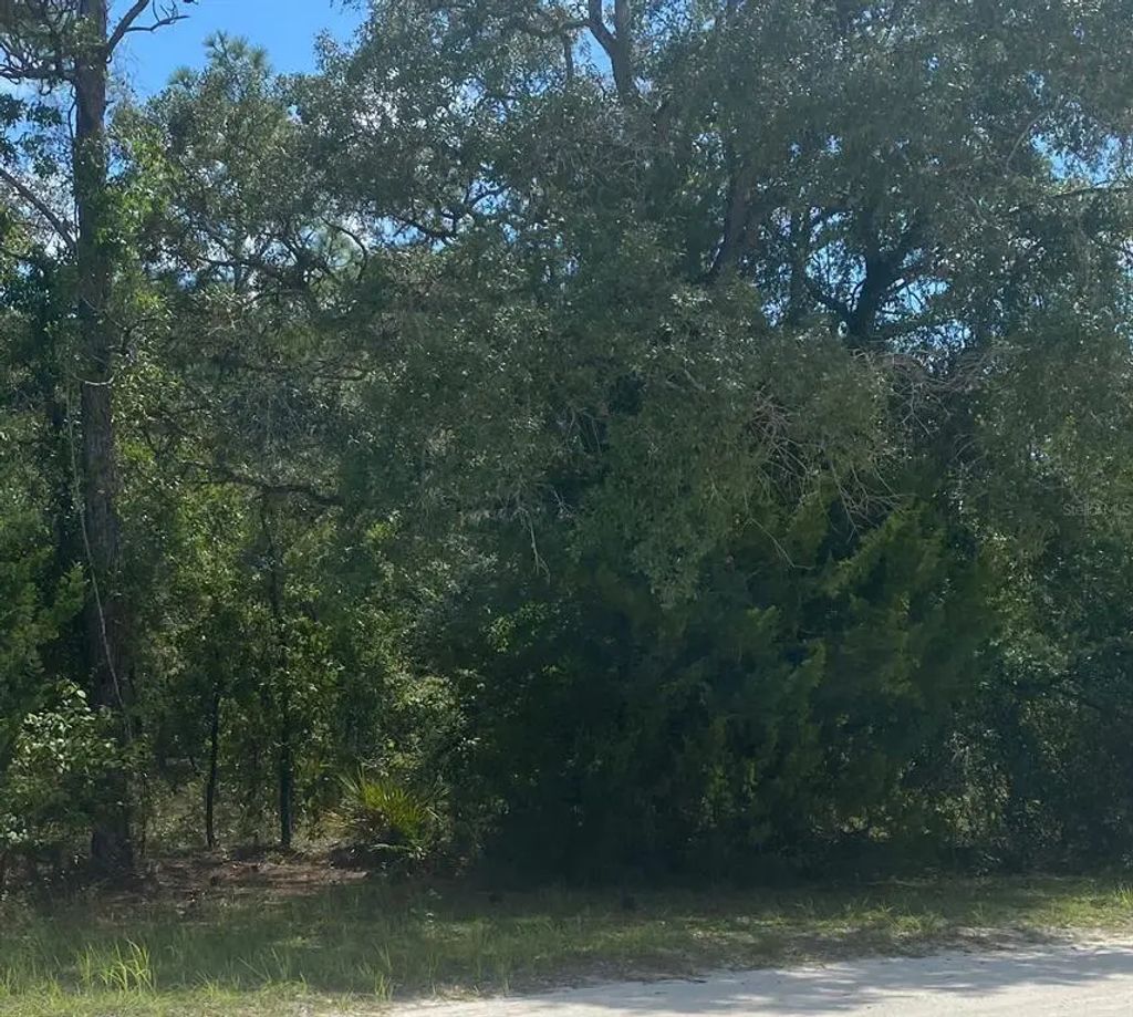 Peaceful Avenue, WEEKI WACHEE