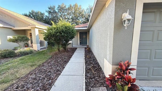 11708 Crest Creek Drive, RIVERVIEW