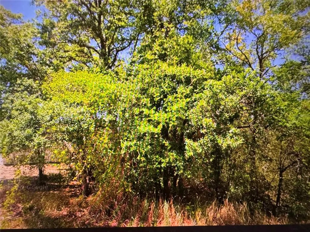 252 Locust Lane, OCALA