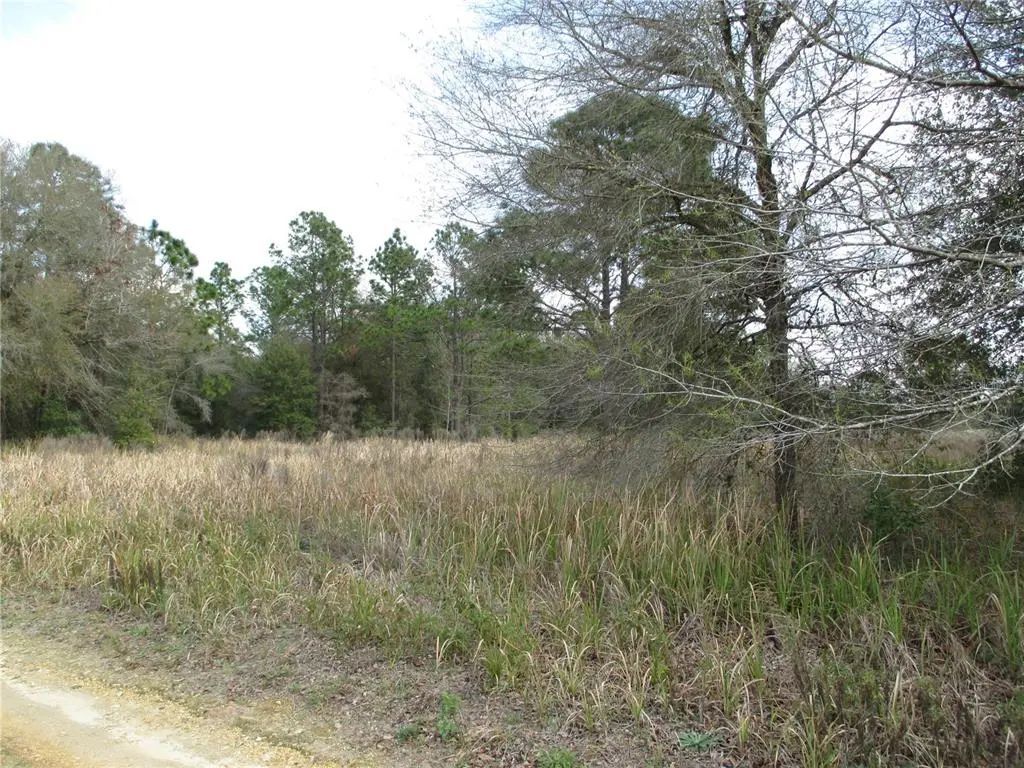 Sw 24th Place, OCALA