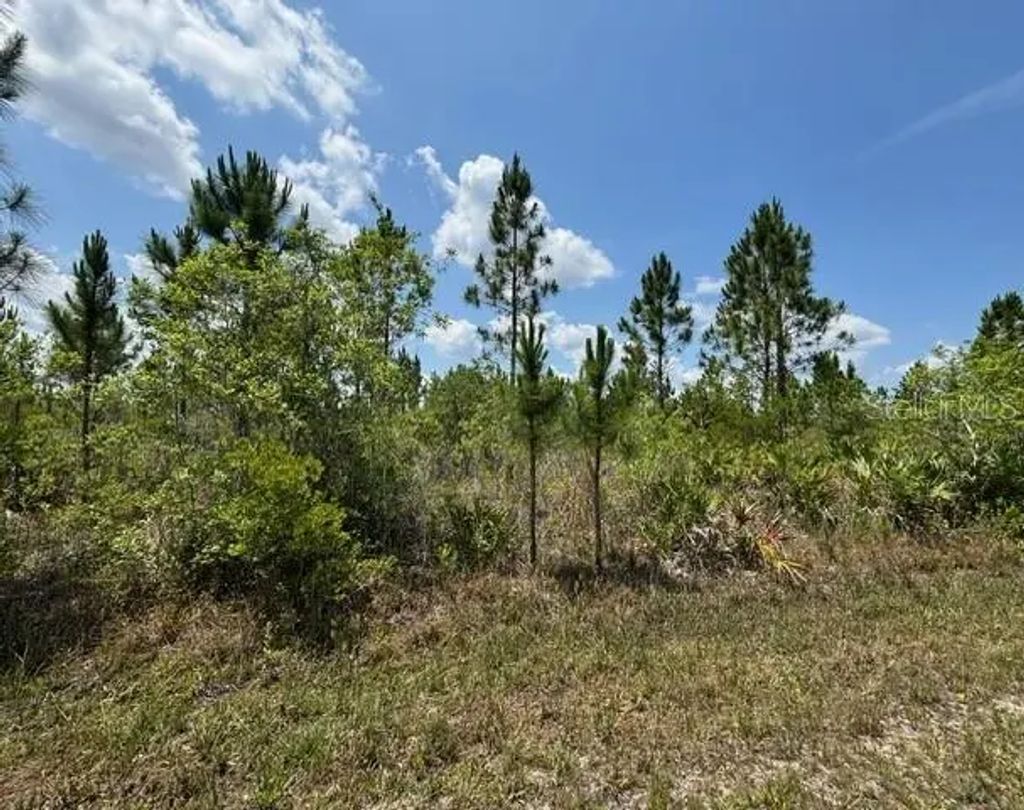 1015 Calliandra Dr, INDIAN LAKE ESTATES