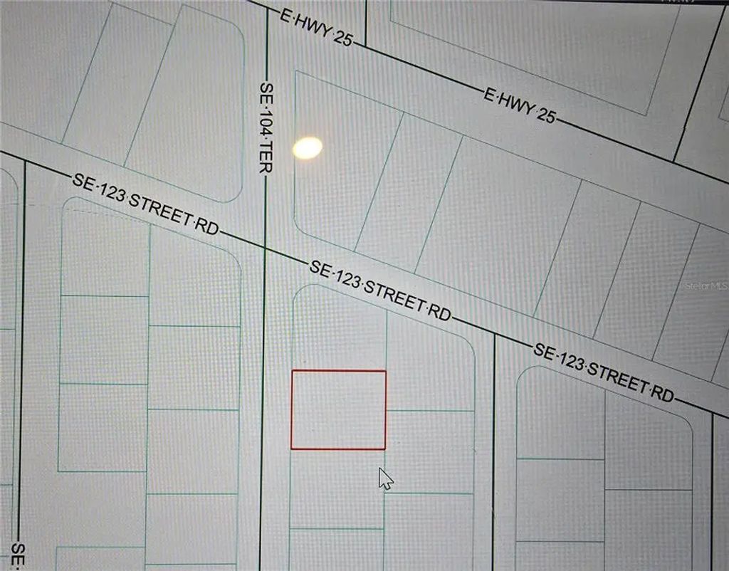 Se 104th Terrace, BELLEVIEW