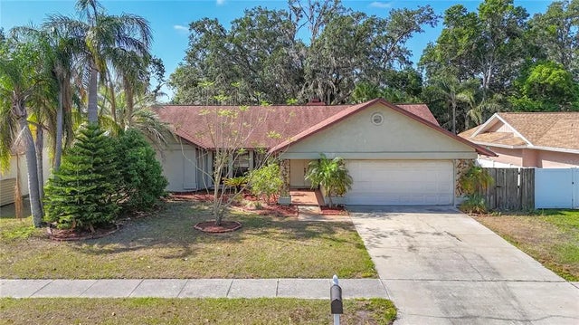 1623 Carter Oaks Drive, VALRICO