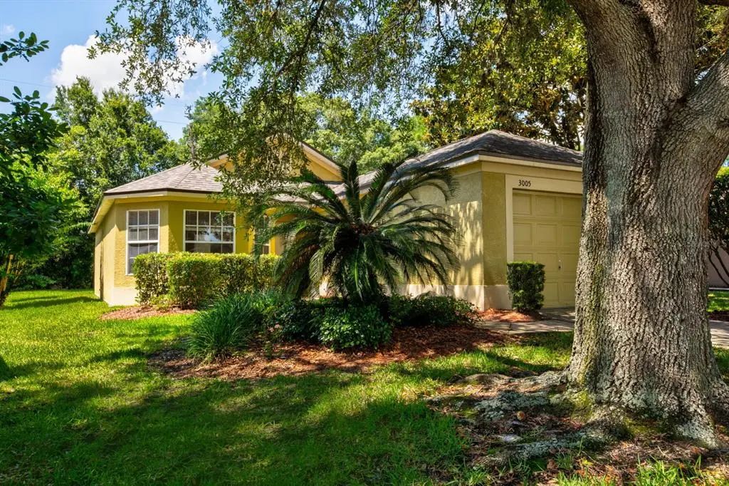 3005 Andover Court, MOUNT DORA