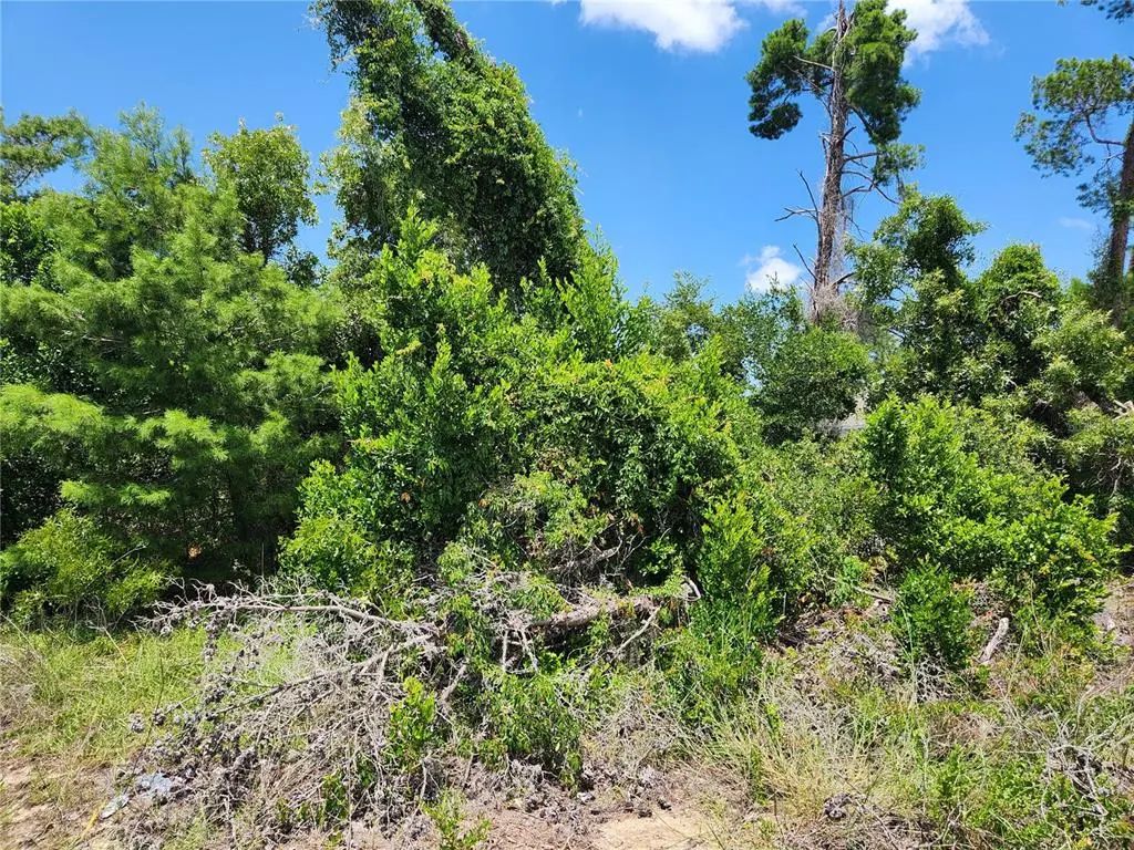 6241 Mariner Boulevard Lot 31, SPRING HILL