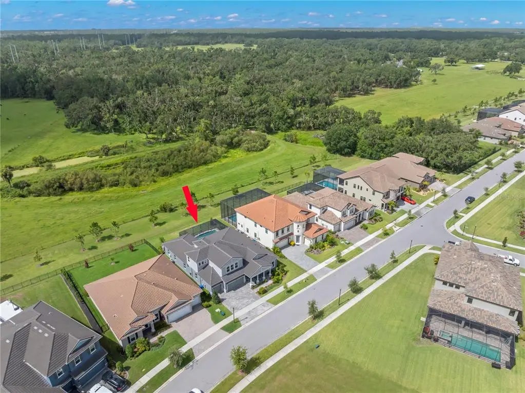 14215 Swiss Bridge Drive, RIVERVIEW