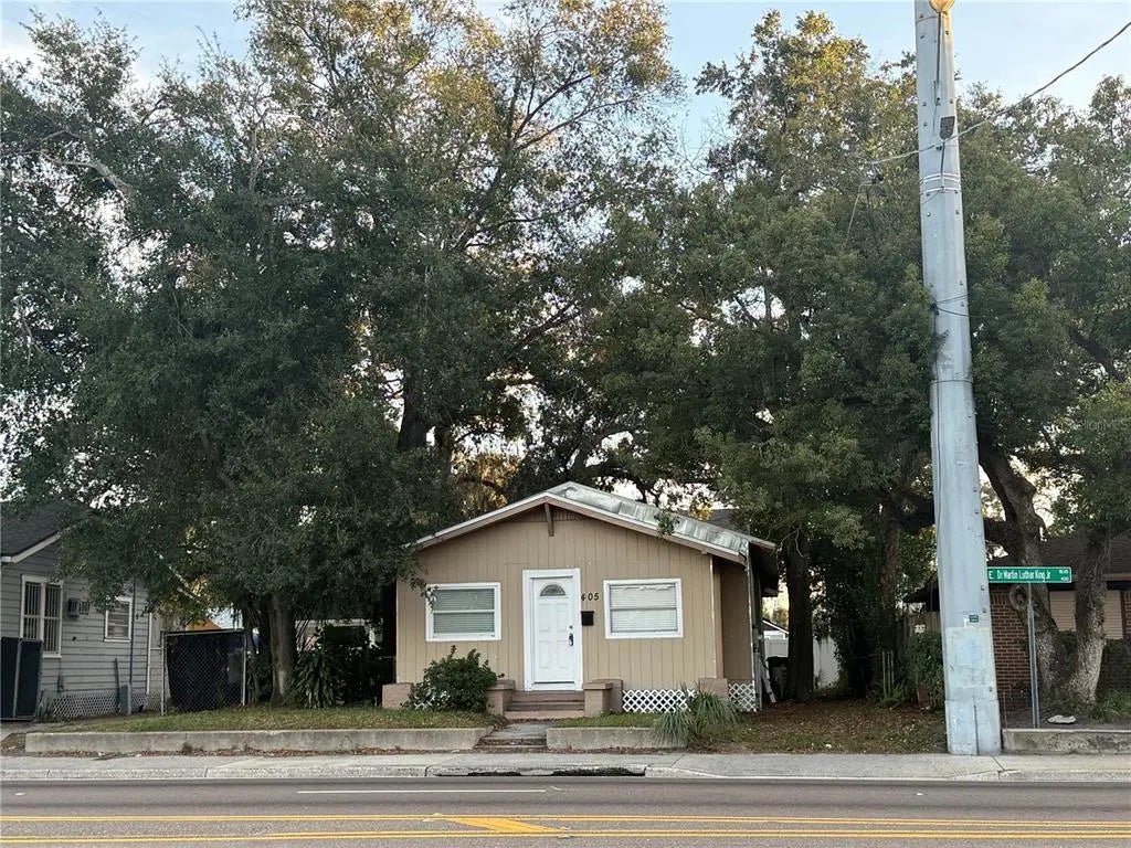 405 E Dr. Martin Luther King Jr. Boulevard, TAMPA