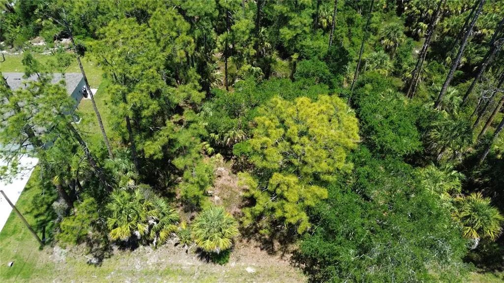 18126 Dillon Avenue, PORT CHARLOTTE
