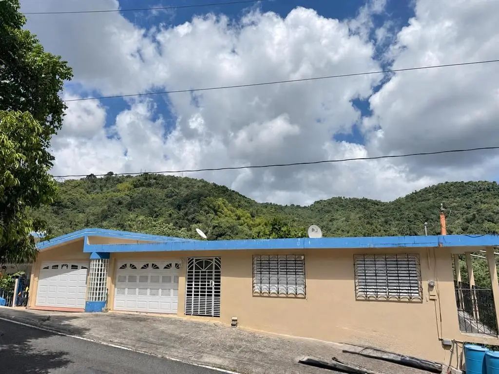 Carr 949 Km 1.4 Bo Rio, LAS PIEDRAS