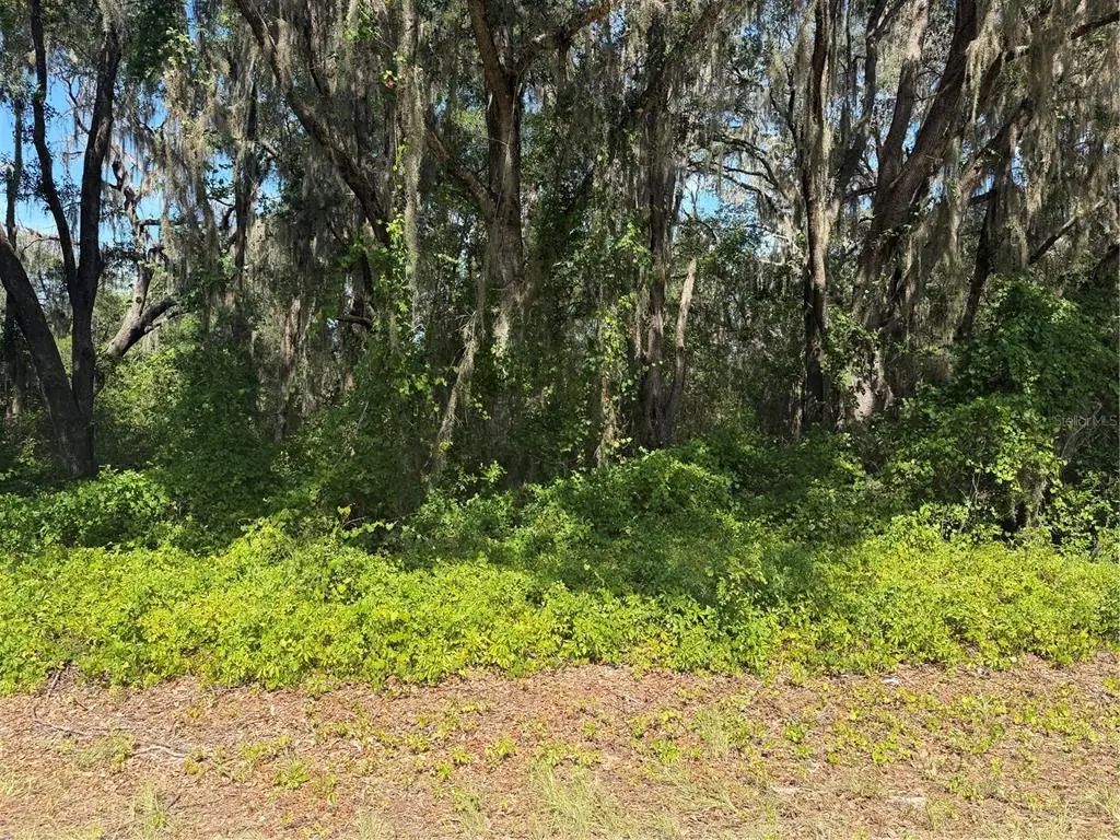 Tbd Guava Terrace, OCKLAWAHA