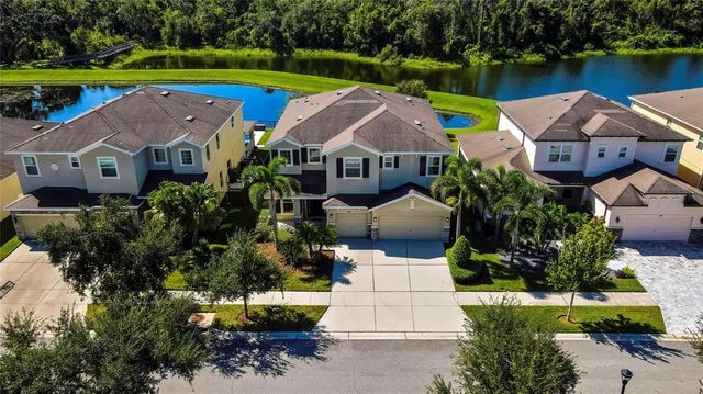 13443 Canopy Creek Drive, TAMPA