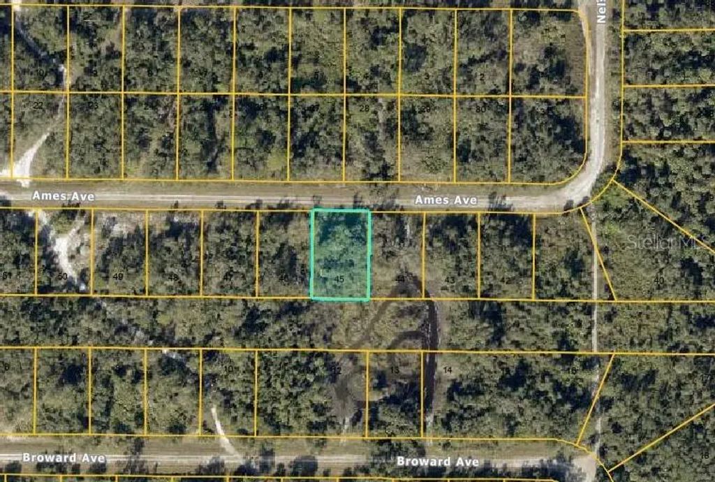 Lot #45 Ames Avenue, NORTH PORT