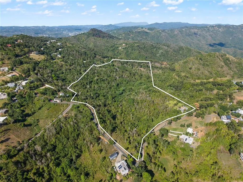 Bo. Cercadillo, CAYEY
