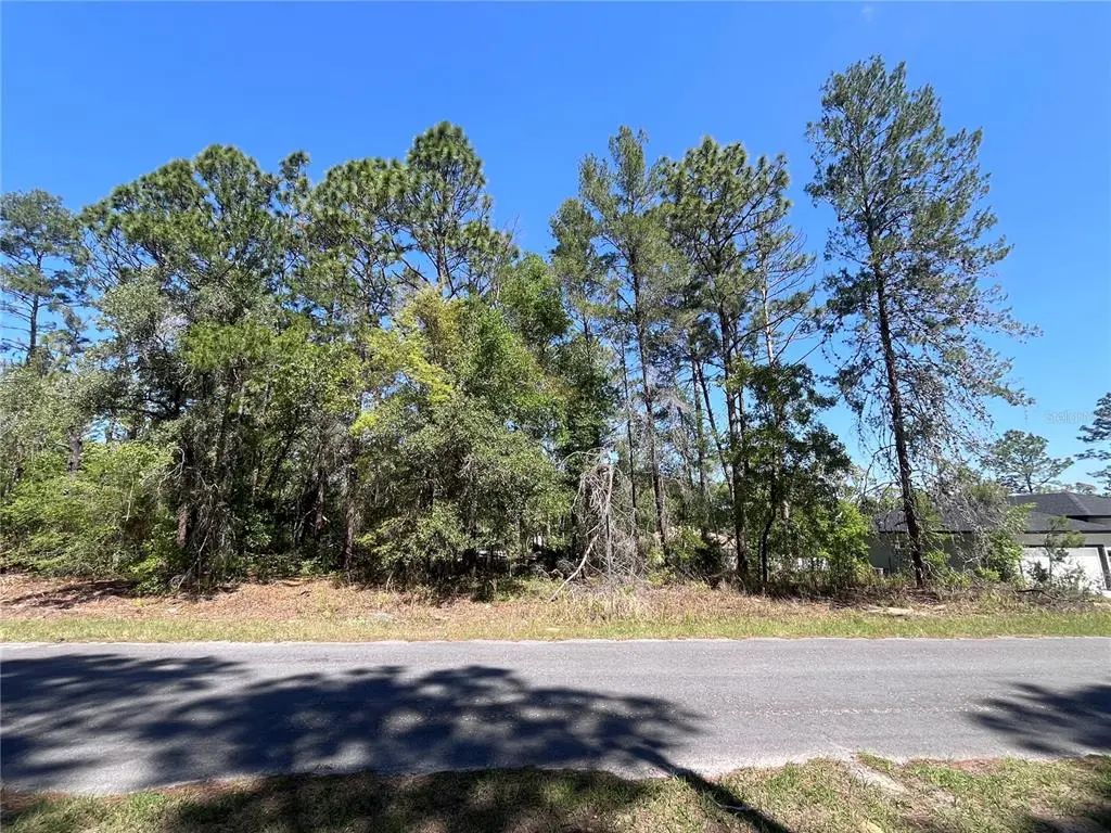 8000 N Pocono Drive, CITRUS SPRINGS