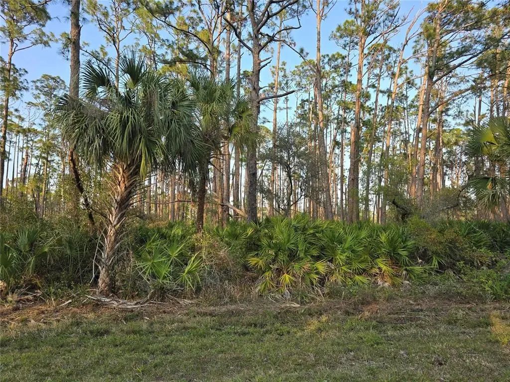 12522 Ranch Avenue, PORT CHARLOTTE