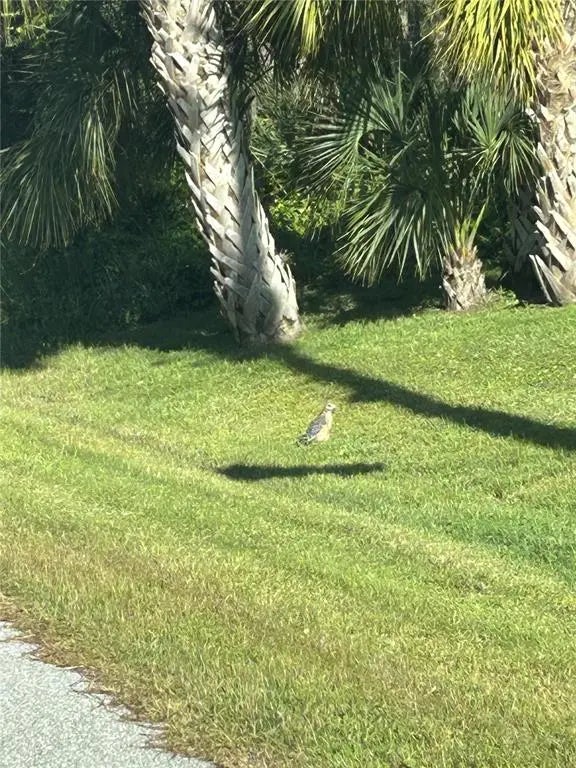 Photo of Listing #D6145016