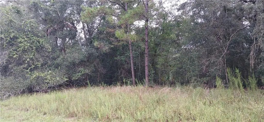 1623 E Ivydale Drive, Dunnellon