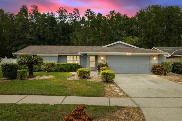 5330 Black Pine Drive, TAMPA