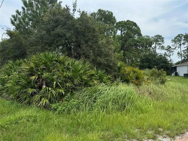 1238 Apopka Ln, KISSIMMEE