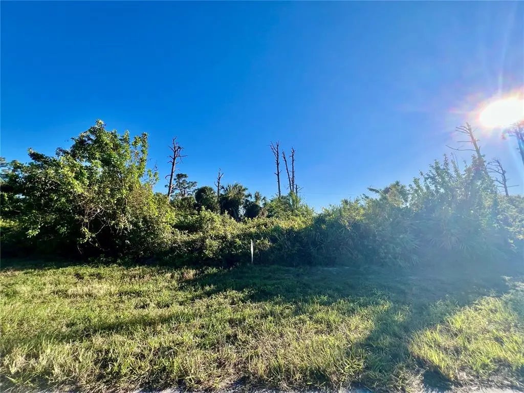 Photo of Listing #C7517892