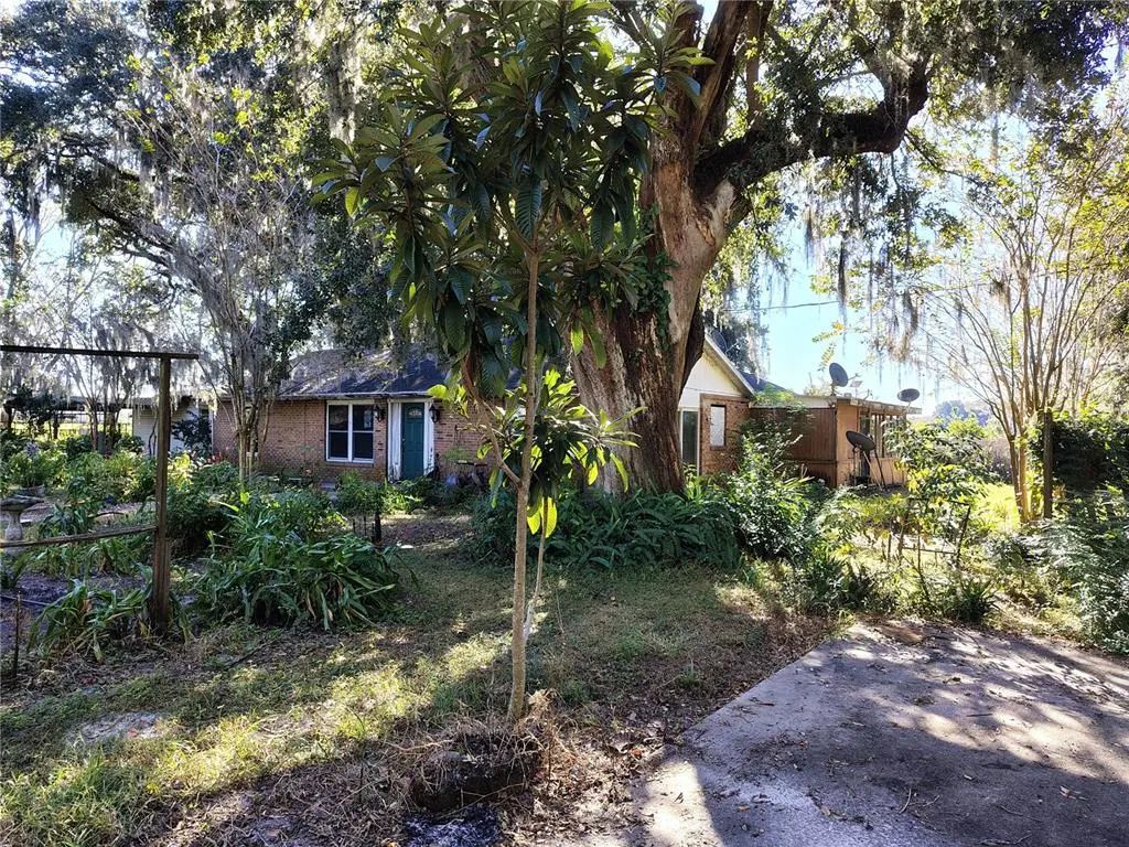 3537 E C 462, WILDWOOD