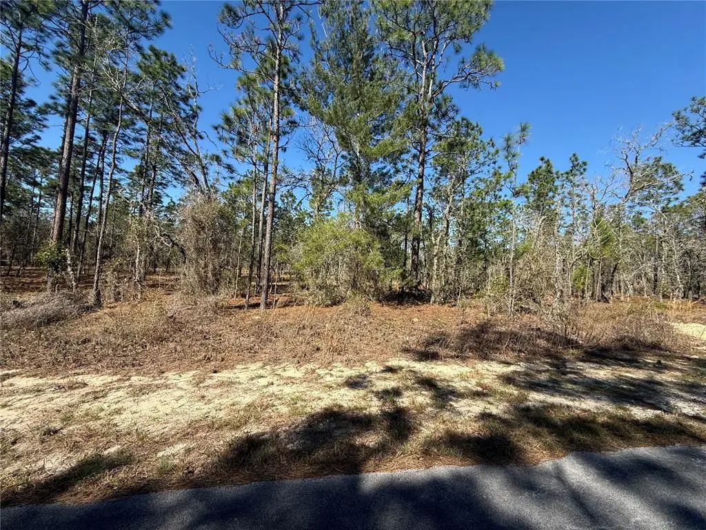 Lot 5 Se 130 Court, DUNNELLON