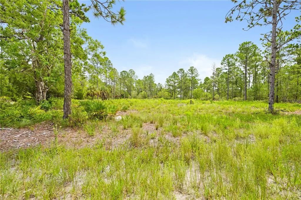 10052 Yellowbird Avenue, WEEKI WACHEE