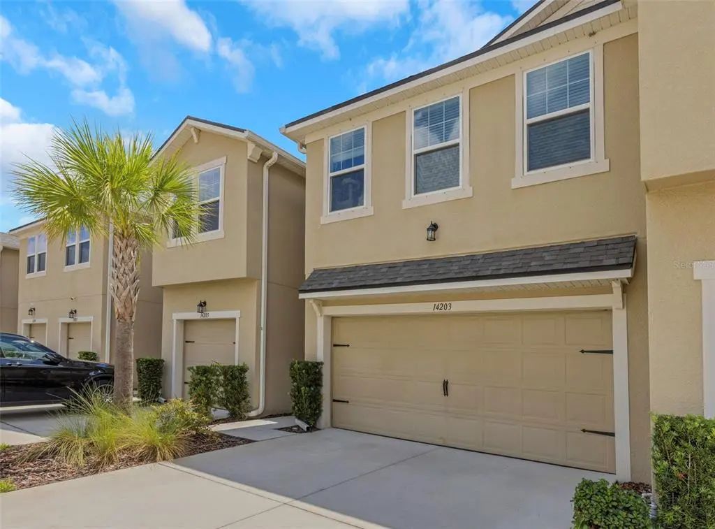 14203 Damselfly Drive, TAMPA