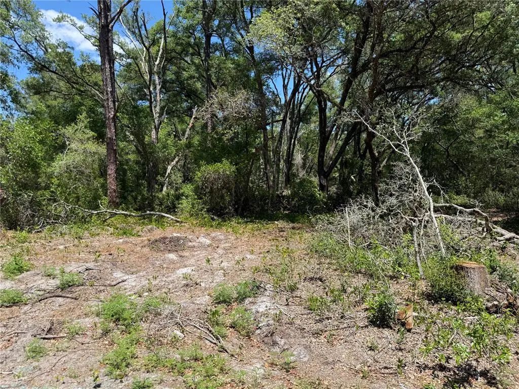 Fischer Lane Court, OCKLAWAHA