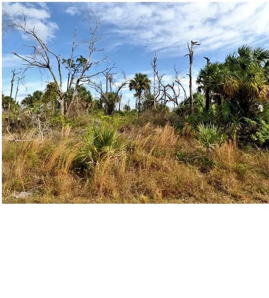 Menzler Street, NORTH PORT