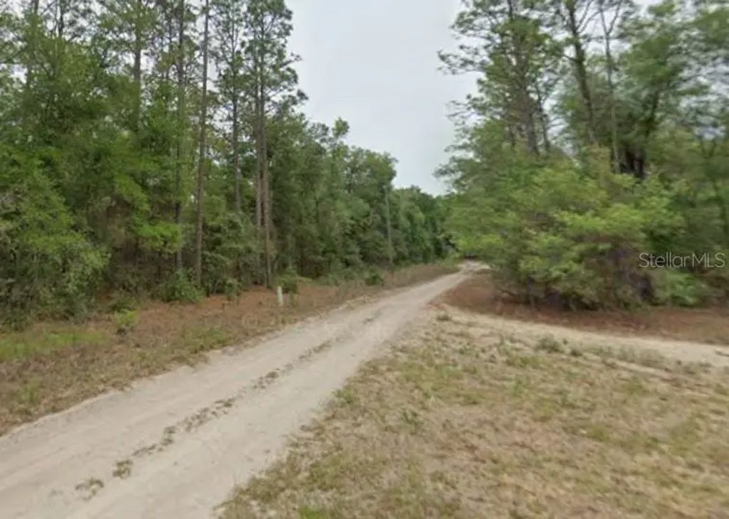 7715 & 7691 W Rainbow Street, DUNNELLON