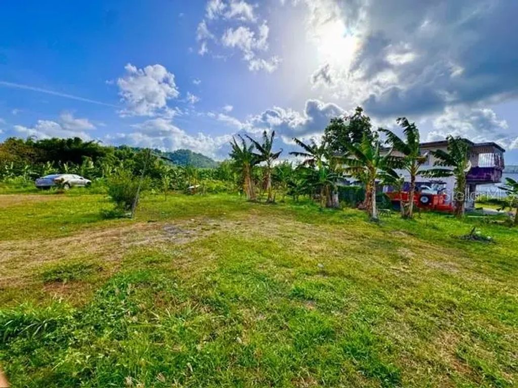 Bo Limones 2, YABUCOA