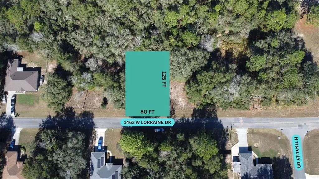 1463 W Lorraine Drive, Dunnellon