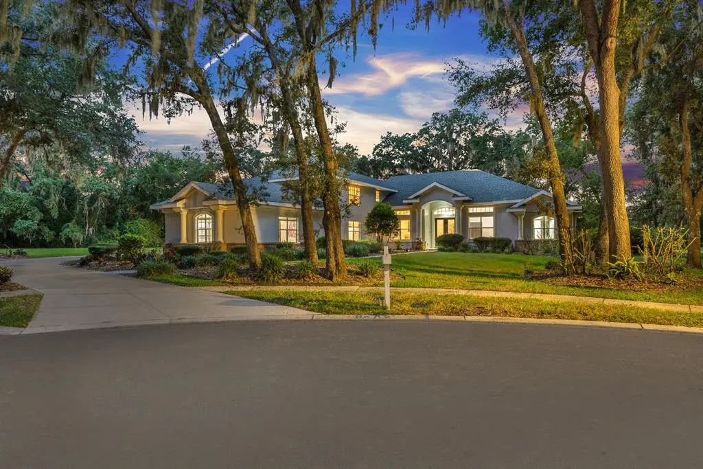 6034 Hammock Hill Avenue, LITHIA