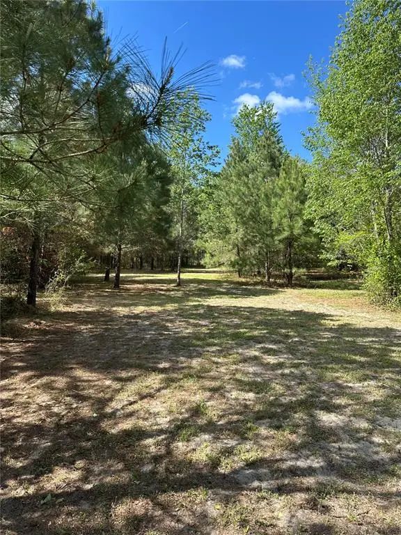 Photo of Listing #O6408505