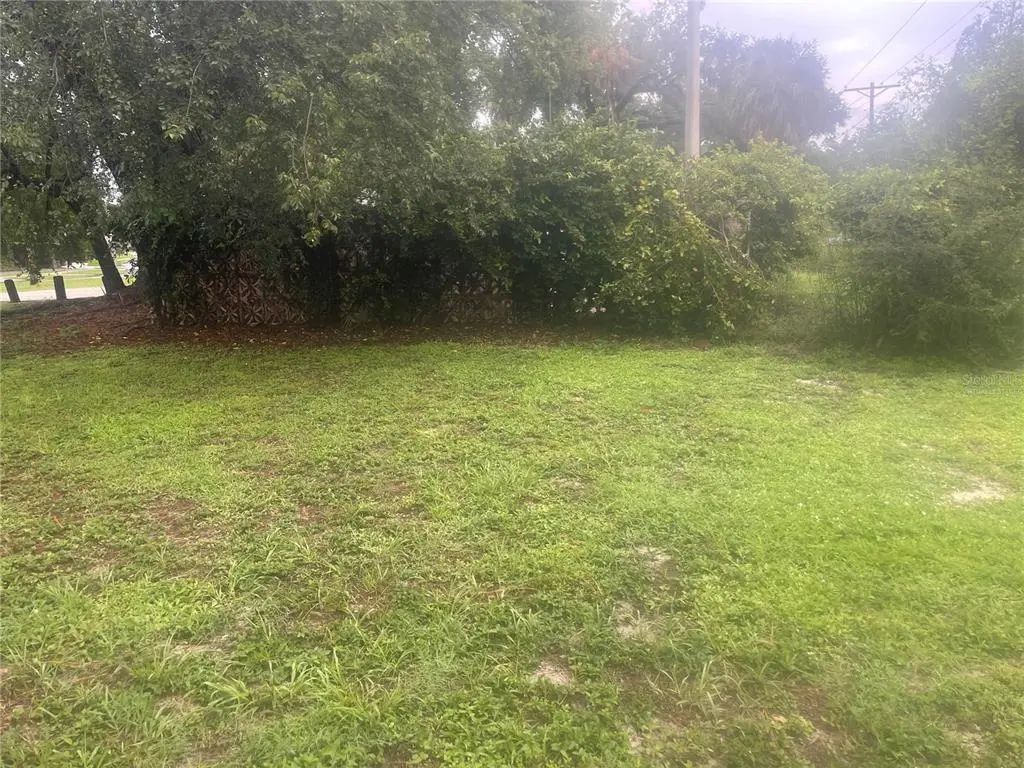 33855 Mandrake Road, WESLEY CHAPEL