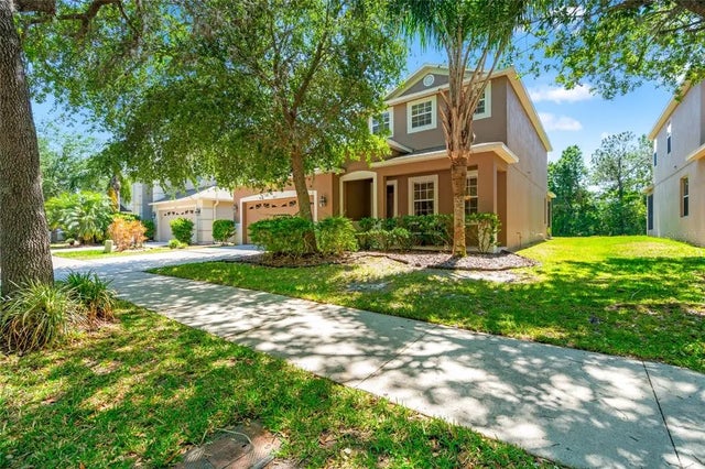 10617 Lucaya Drive, TAMPA