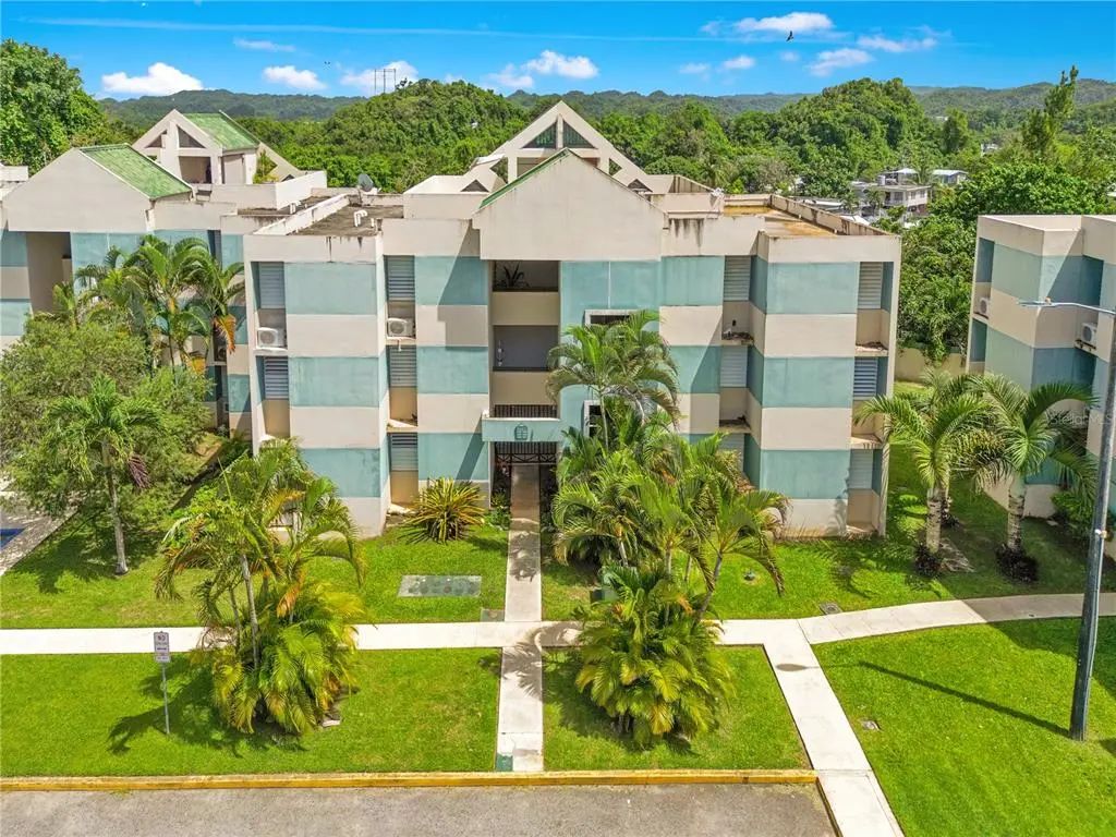 Ave. TriovegabajeÑo Cond. Torre Vista Apt. 1504, VEGA BAJA